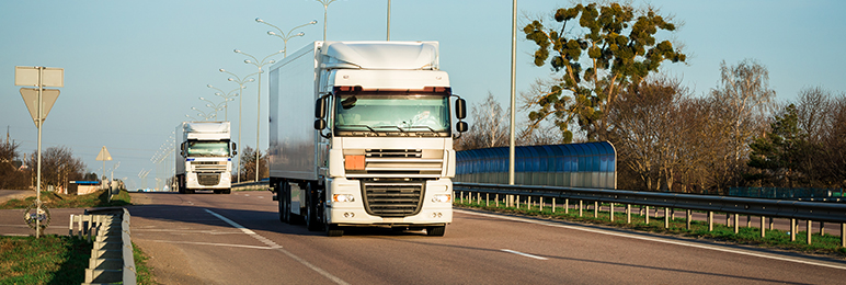 Prolongation de l'utilisation de la photo actuelle sur les permis de  conduire - Transport Routier